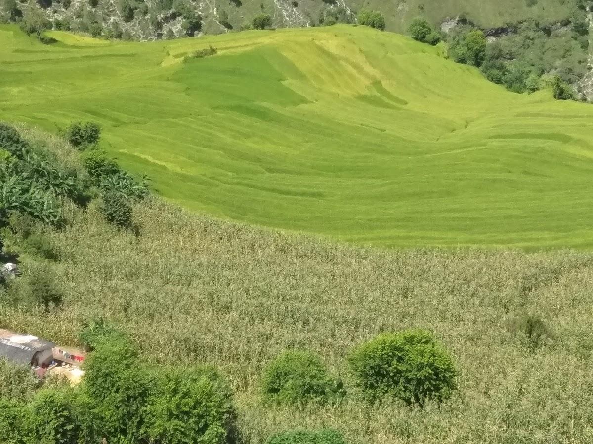 Hotel Sathi Bhai