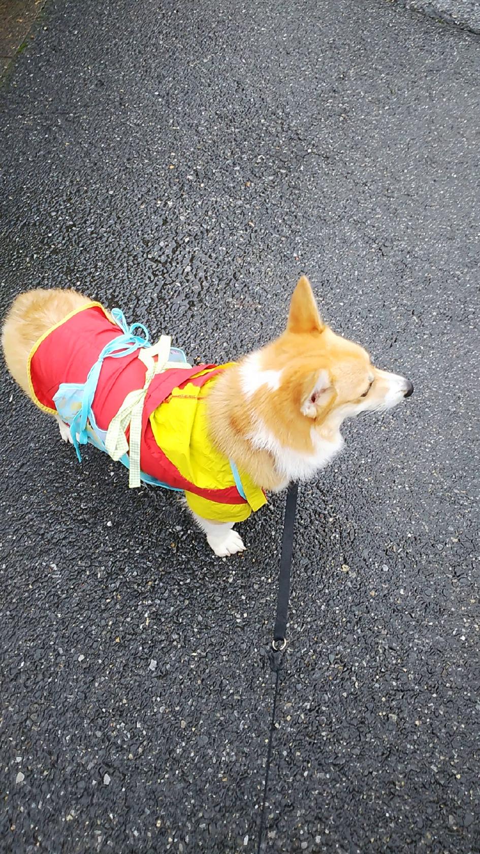 御代川