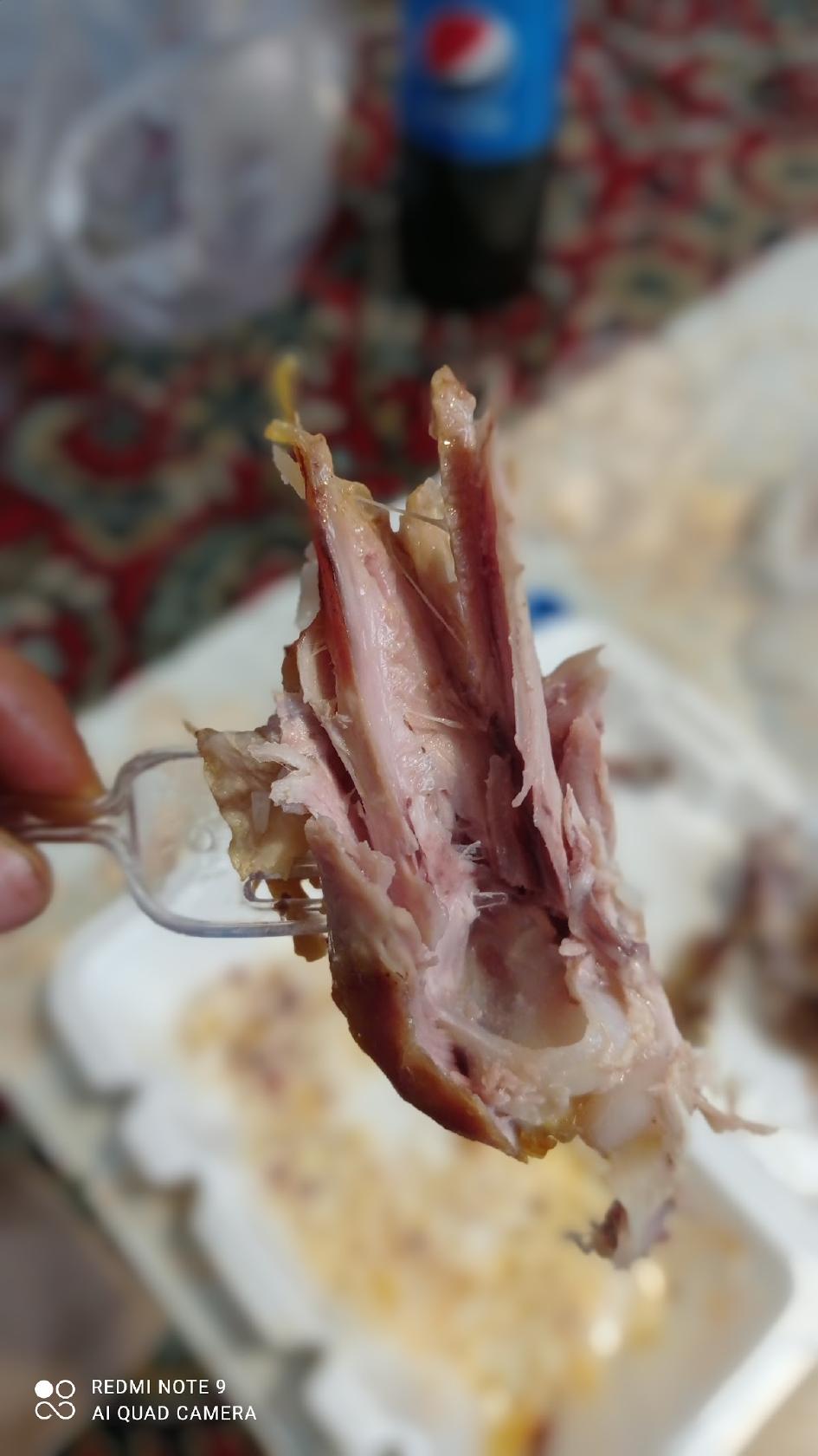 کترینگ افق طلایی