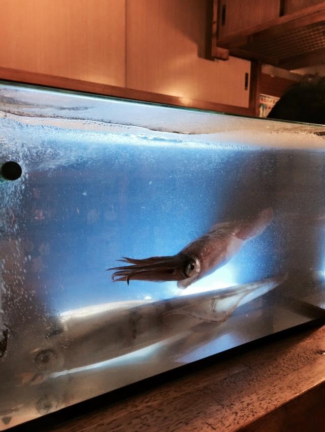 おさかな広場