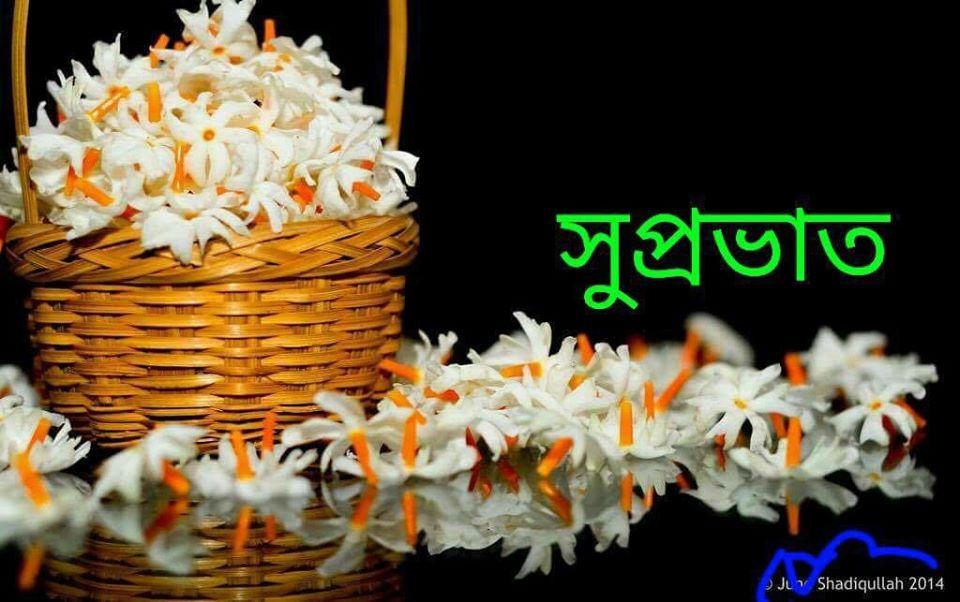 আবার খাব বিরিয়ানী হাউজ