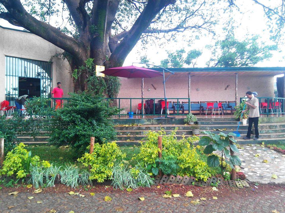 Dona’s Café & Restaurant