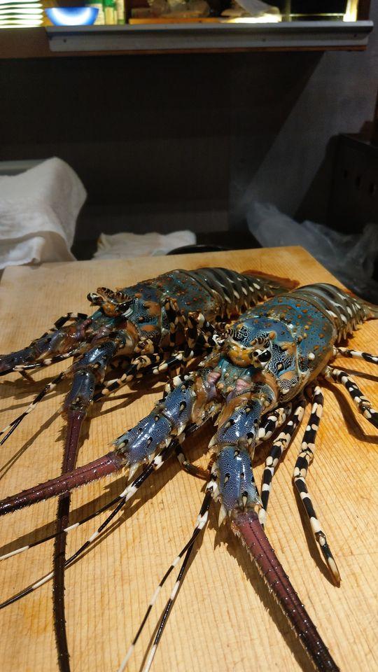 禪一 炉ばた燒
