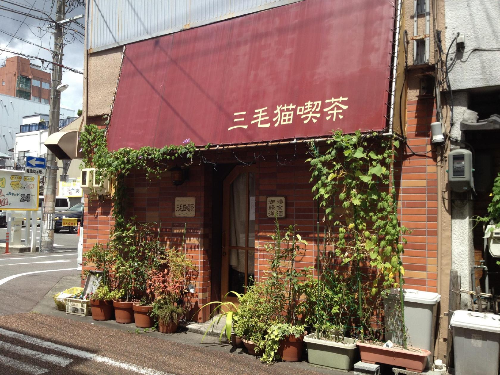 三毛猫喫茶