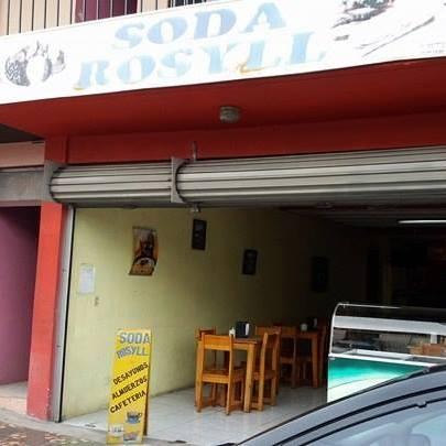 Soda Rosyll