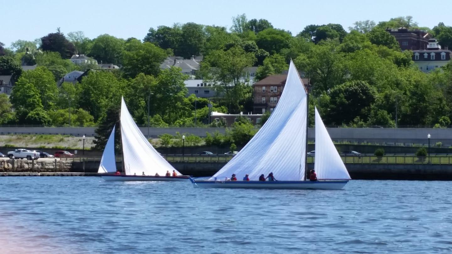 The Regatta