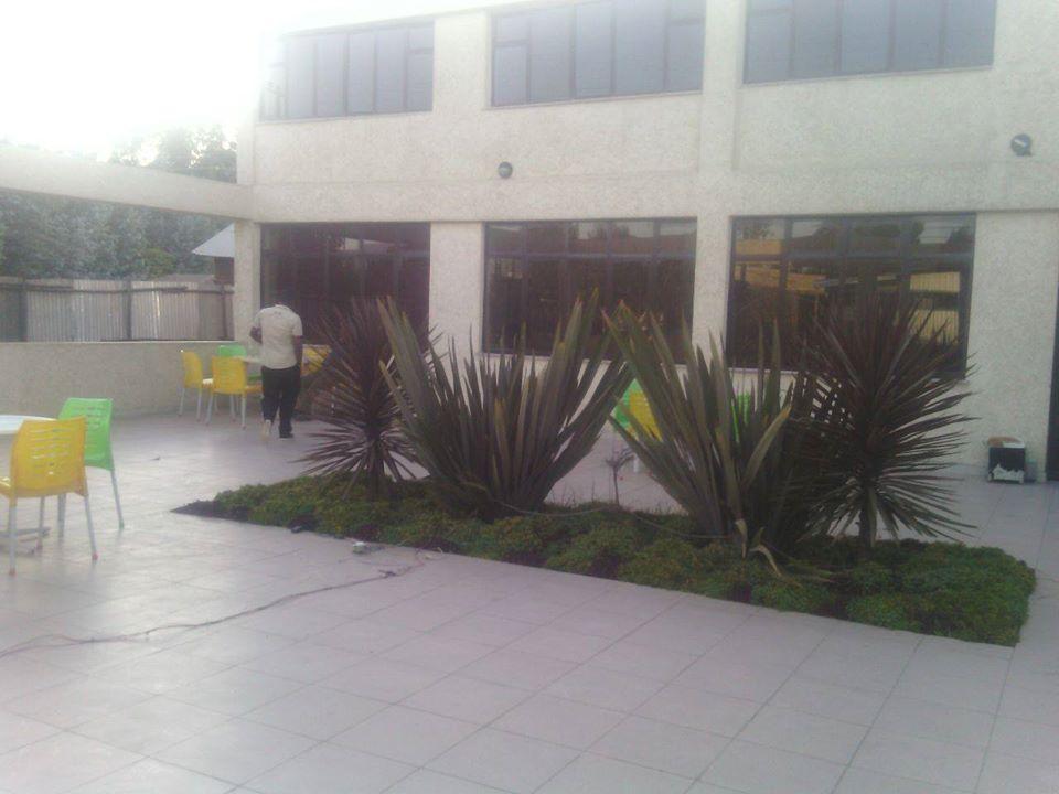DANI Gazebo