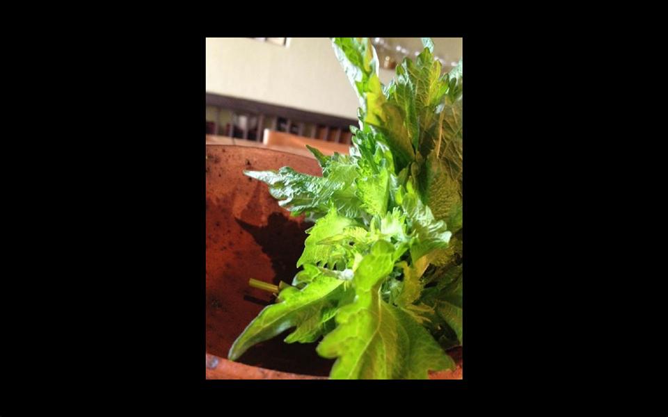 正午御料理「のの菜」（完全予約）