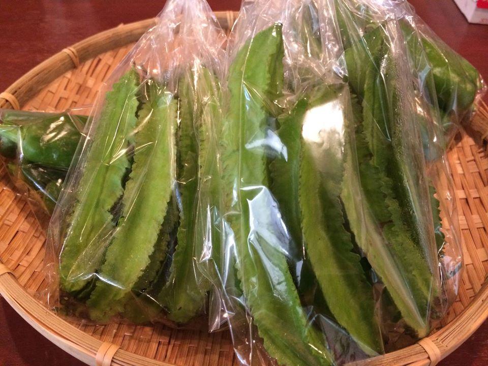 ありがとうキッチン 咲花