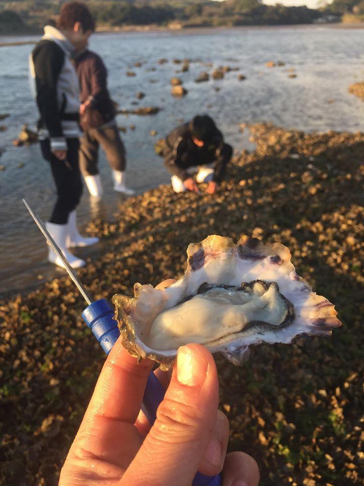 Dry Beach〜殻付き生牡蠣専門BAR〜