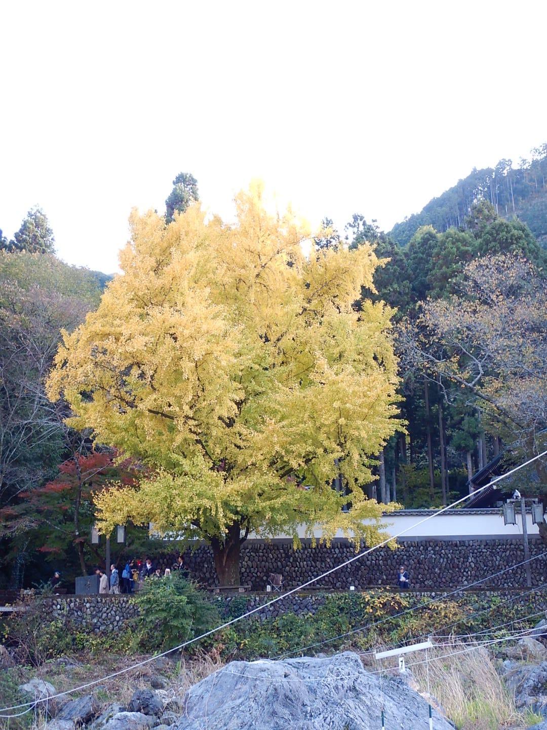串陣東青梅店