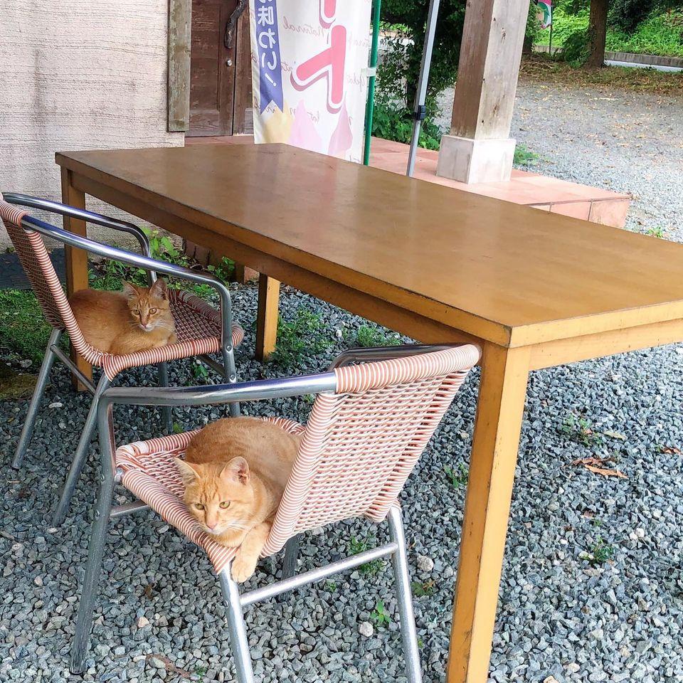 花の果樹園