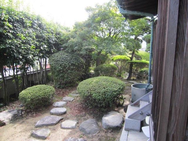 あをぎり