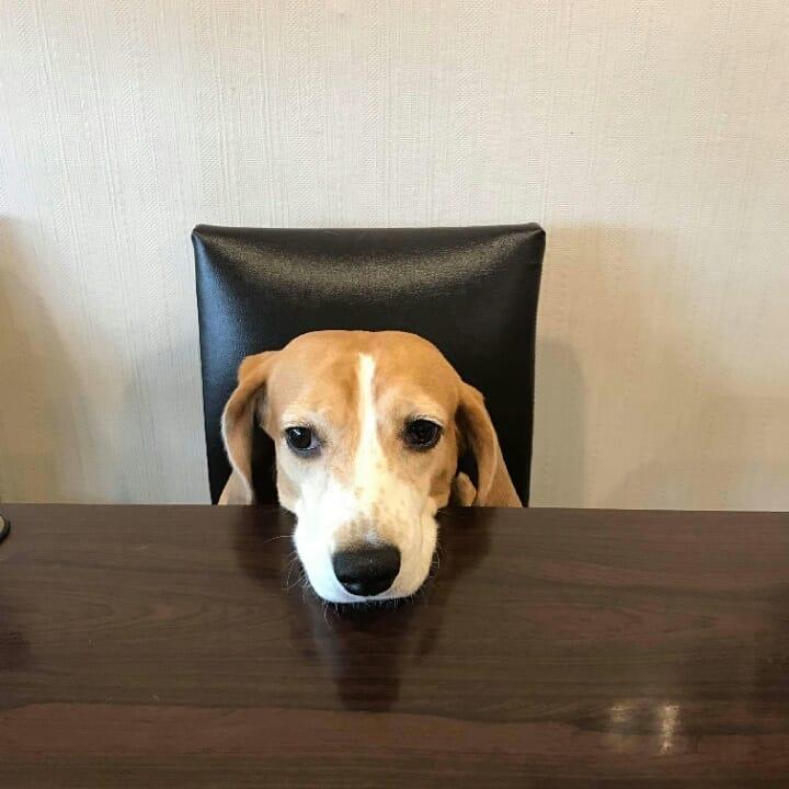 杜林諾餐廳