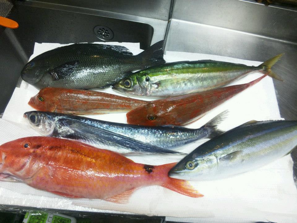 魚とおでん１４１