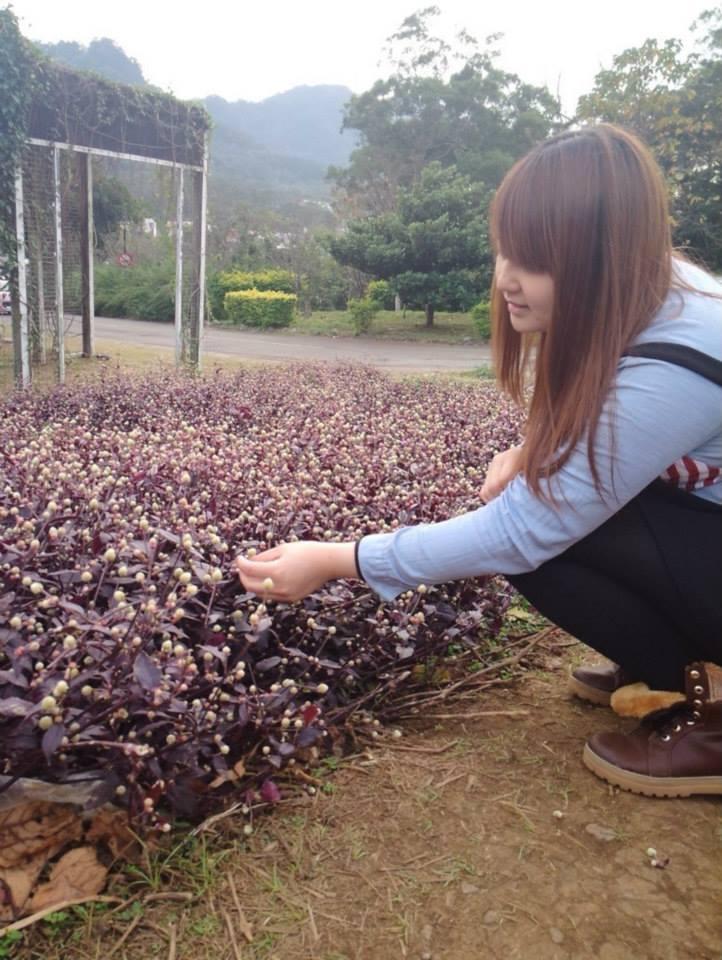清心福全冷飲站八里中山店
