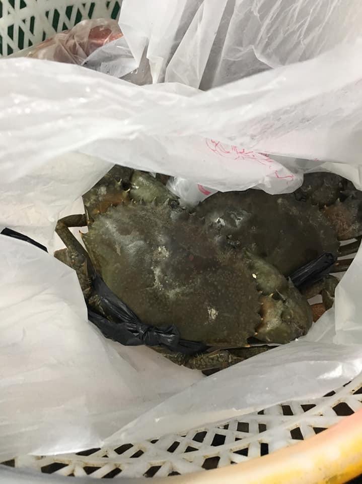 北港廟口客棧