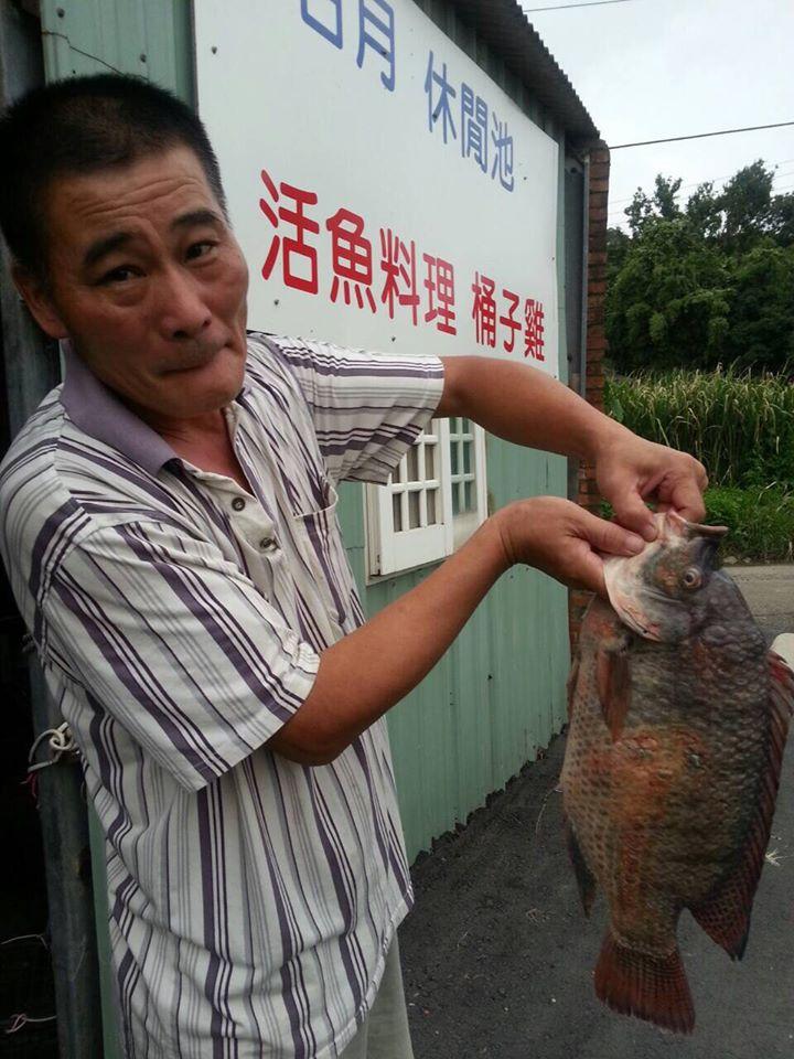 新埔義民廟『日月休閒池』台灣鯛活魚料理、桶子雞、雞酒料理 Hsinchu