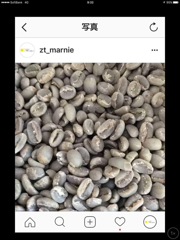 自然食堂 パドマーニー