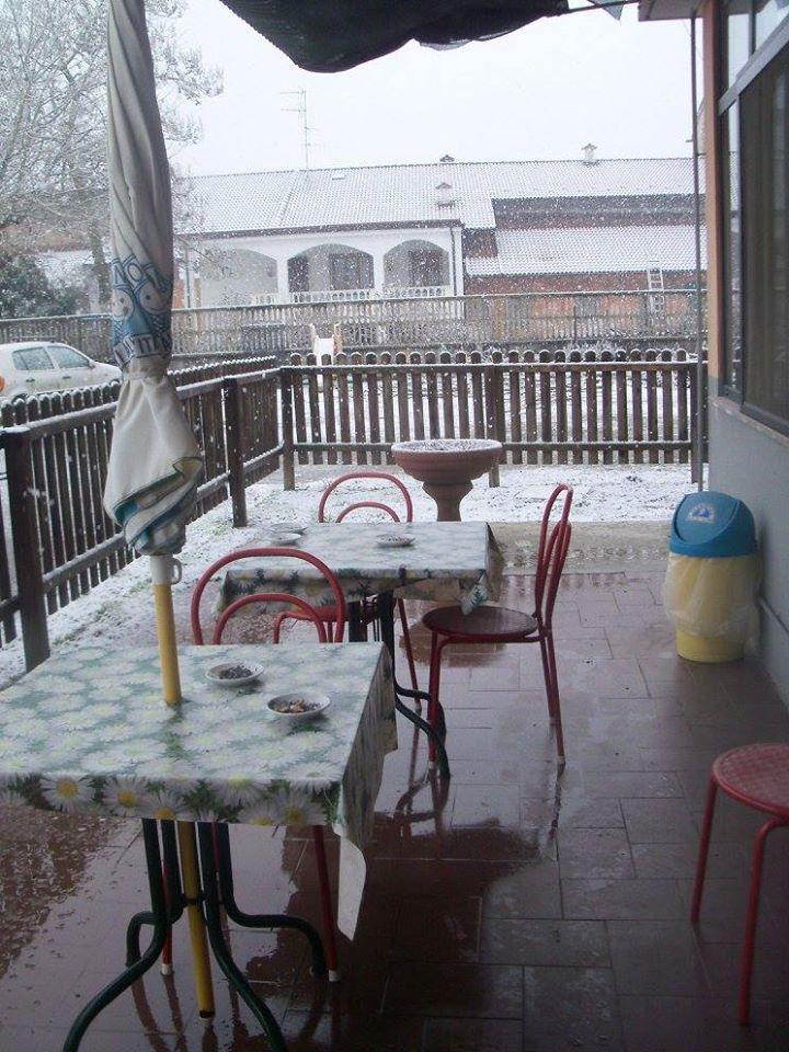 Trattoria da Brus