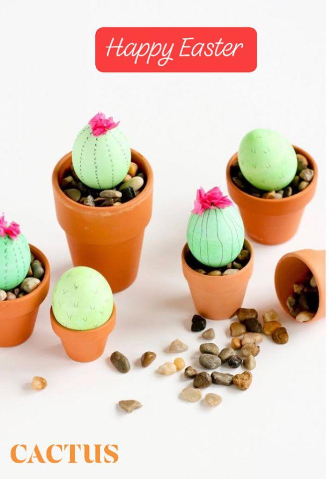 Cactus Rest & Cafe - مطعم كاكتوس