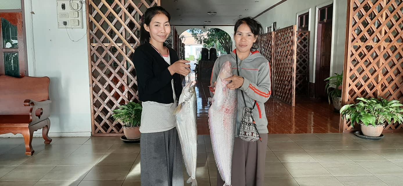 ຮ້ານອາຫານສາຍທອງ