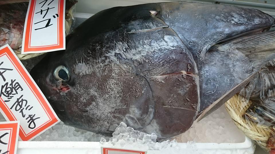 魚せん 広岡店