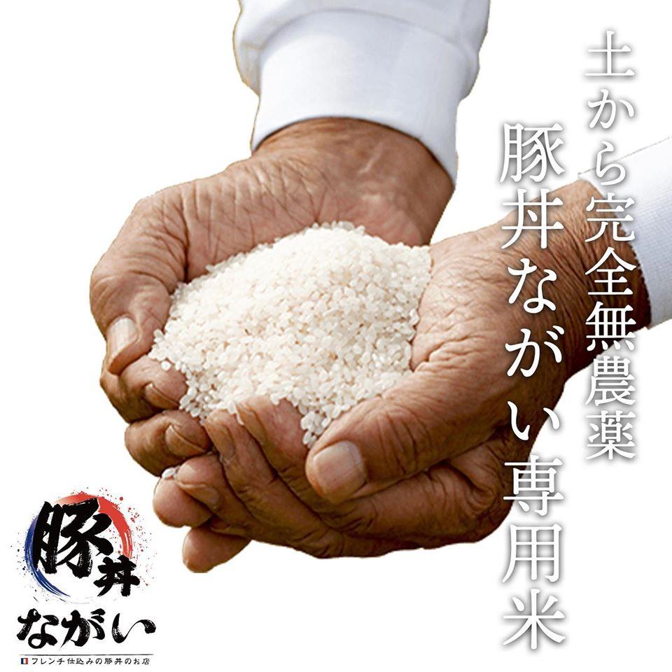 フレンチ仕込みの豚丼ながい
