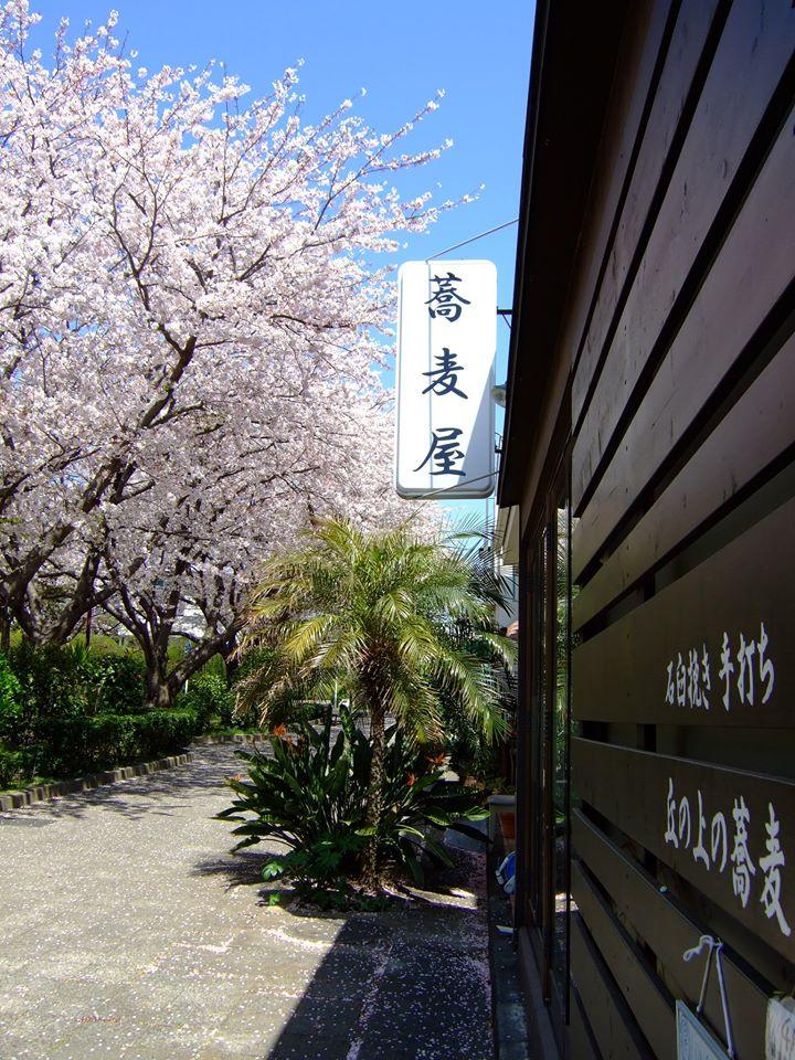 丘の上の蕎麦