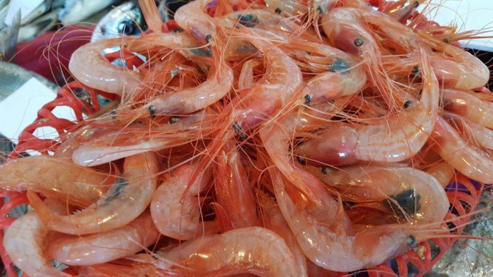 Samak to your house