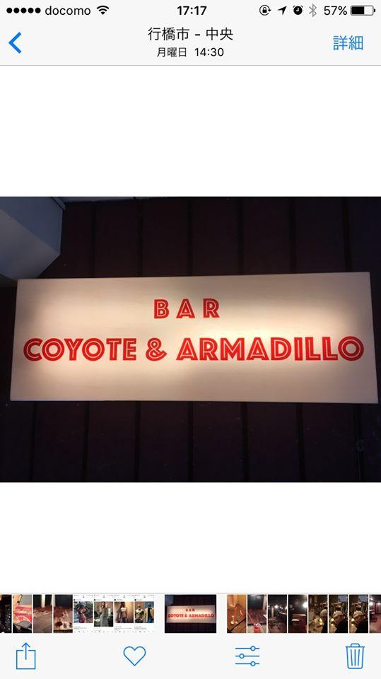 COYOTE & ARMADILLO