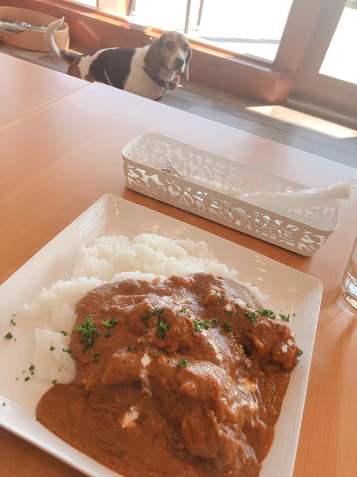 Dog Cafe Tatsuishi