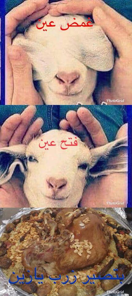 زرب الكرم