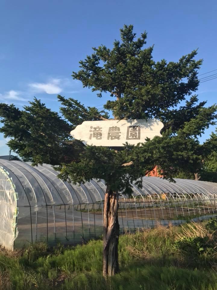 グラッターチェロ サッポロ