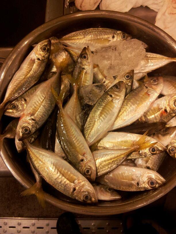 人形町和食　灯（ともり）