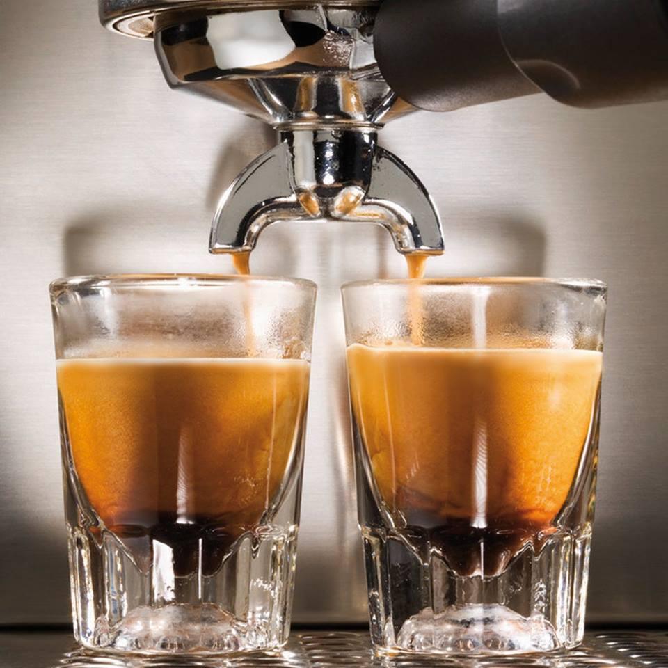 KoPi Luwak