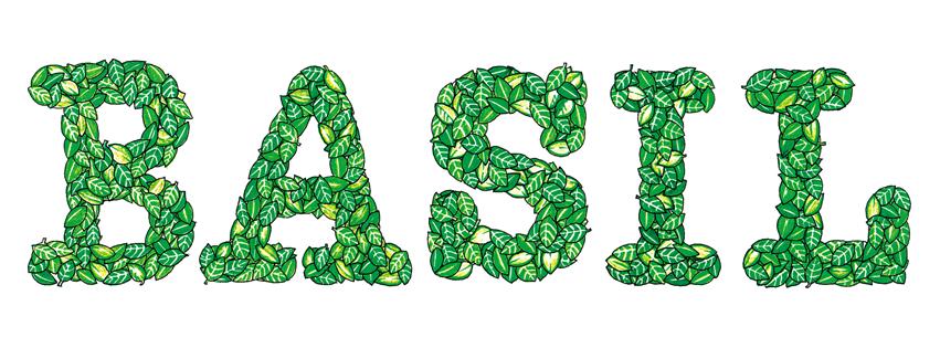 BASIL
