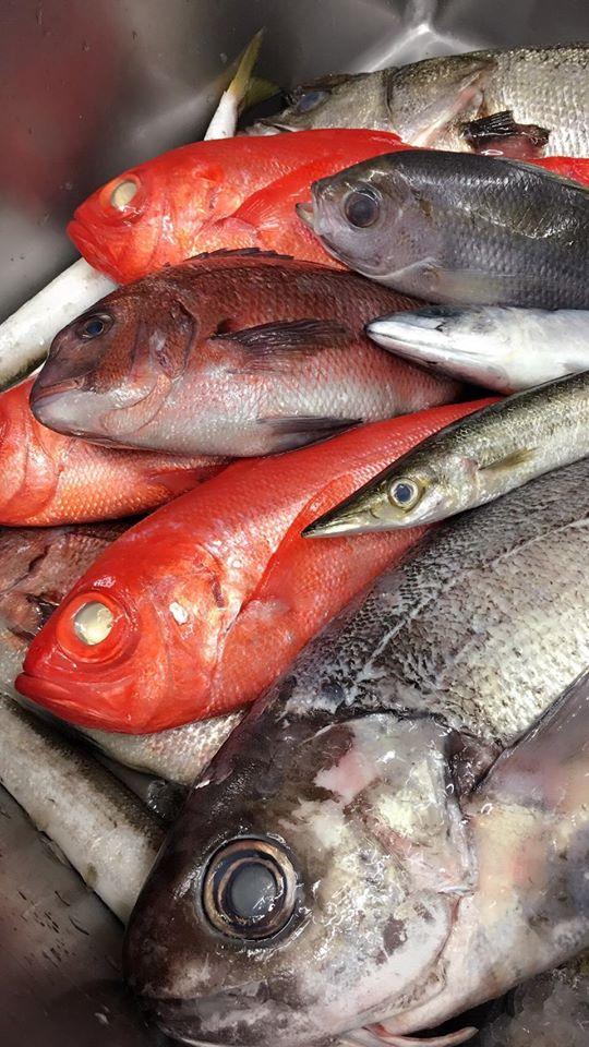個室 魚と肉 まん 横浜店