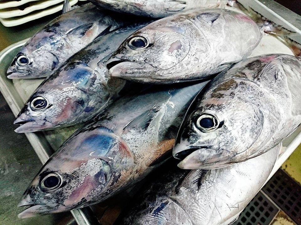 魚角 上石神井店