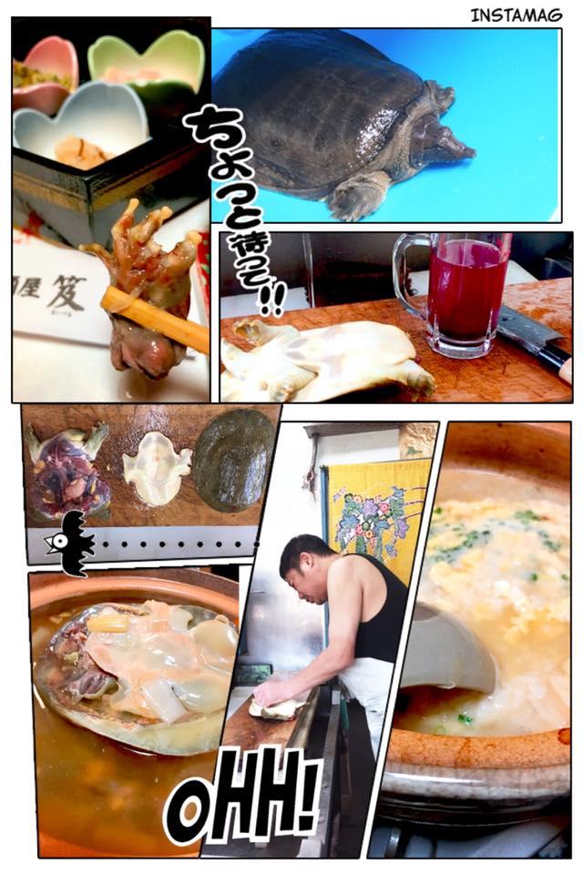 おいずる
