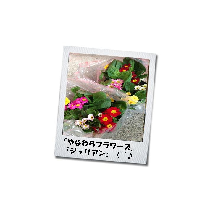 やなわら フラワーズ Yanawarabaxa Flowers & Gardens