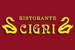 I 2 Cigni