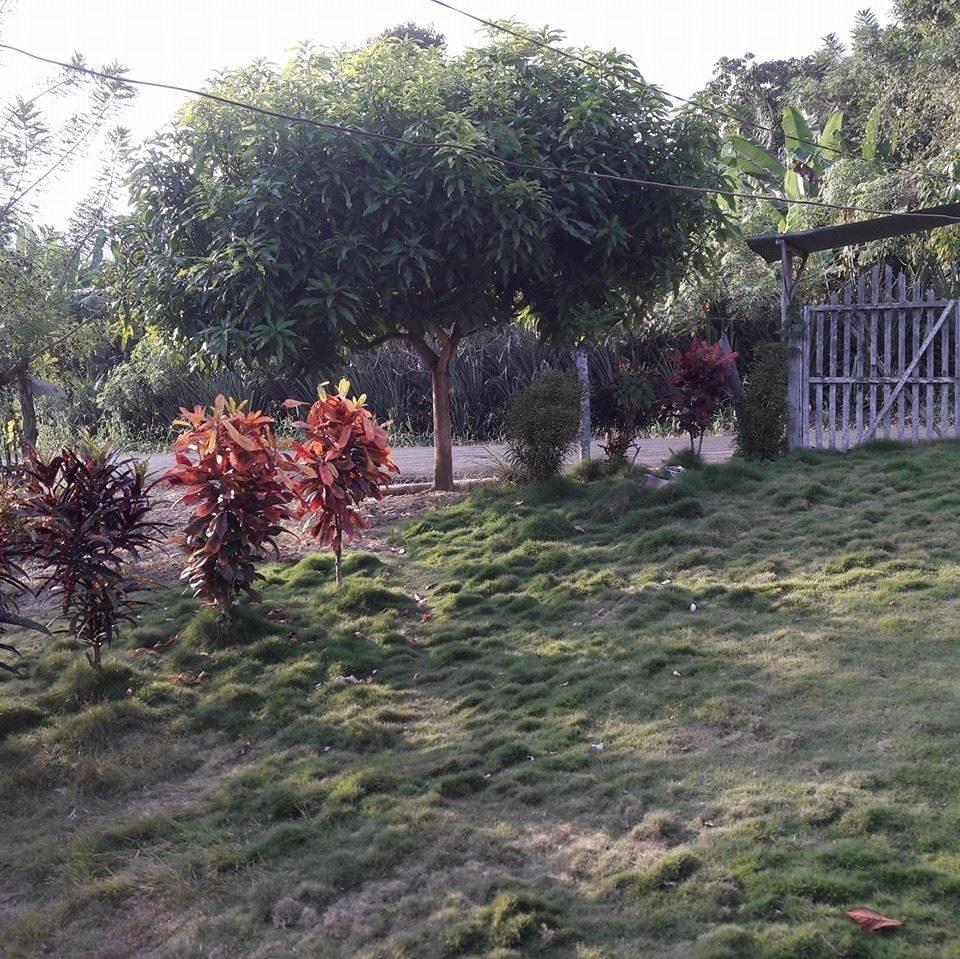 La Casa de Luz Cita