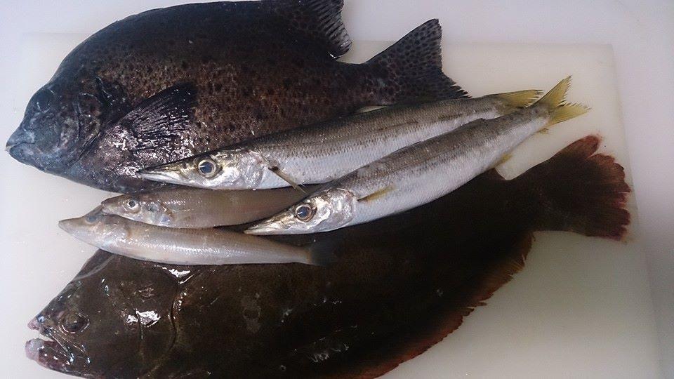 和食　ＷＡ