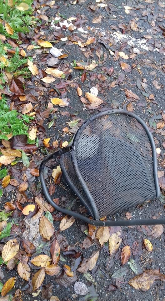 Bar Birreria Pizzeria La Pineta