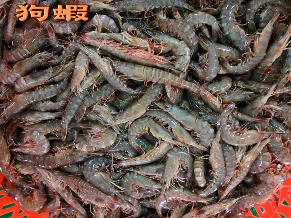 嘉義市永奉東石海魚旗艦店