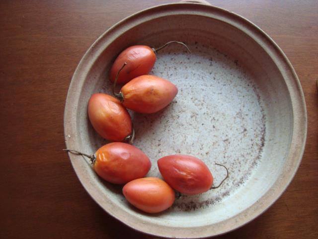 Nutrisanar