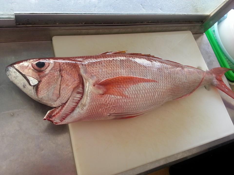 墾丁外海鮮魚湯