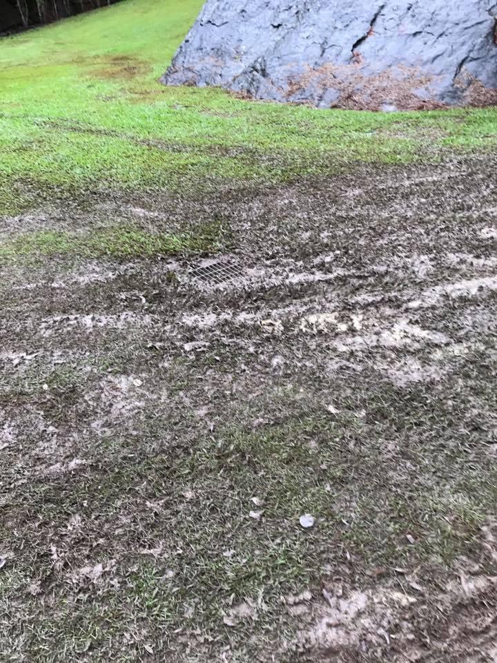 高巢森活