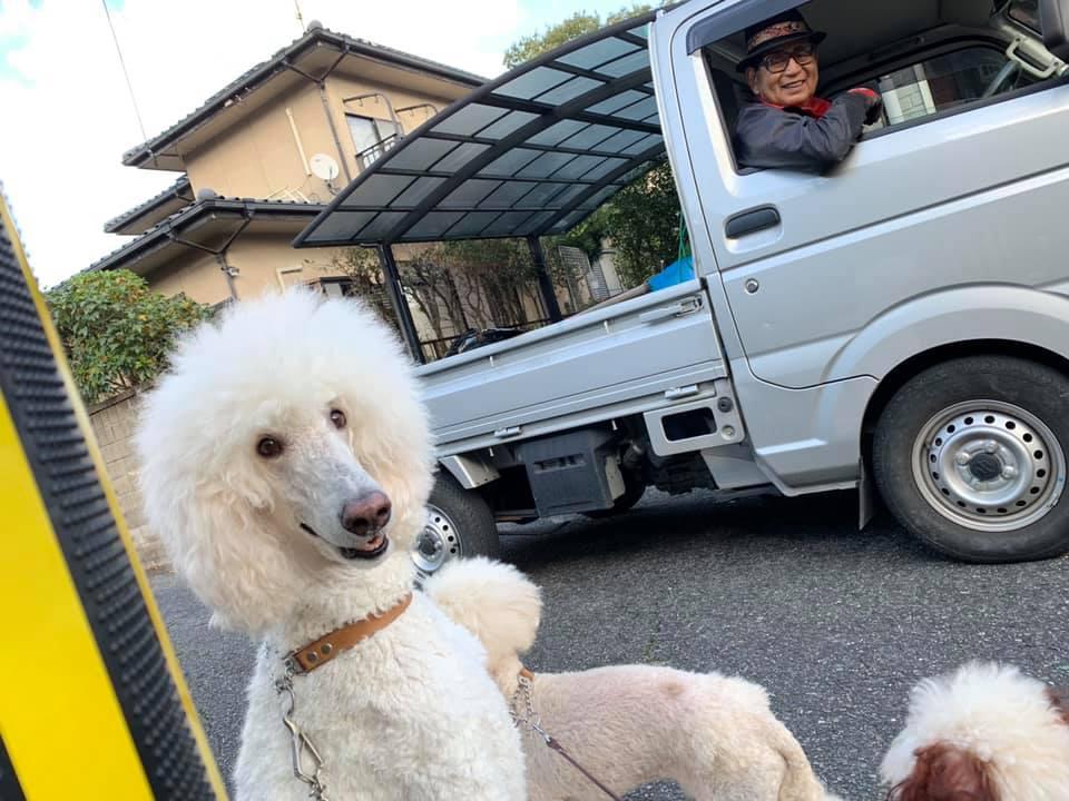 豊丸
